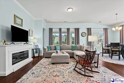 Living - 165 Bucky Loop, Murrells Inlet, SC 29576 photo 1 of 3