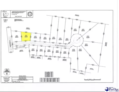 lot2 Isaiah Dr, Dillon, SC 29536 photo 4