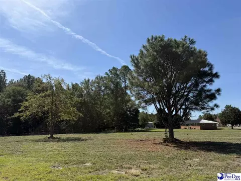 lot2 Isaiah Dr, Dillon, SC 29536 photo 2