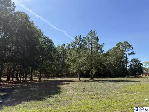 lot3 Isaiah Dr, Dillon, SC 29536 photo 2