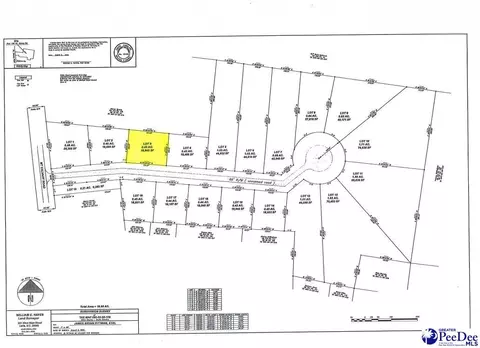lot3 Isaiah Dr, Dillon, SC 29536 photo 4