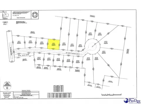 lot4 Isaiah Dr, Dillon, SC 29536 photo 4