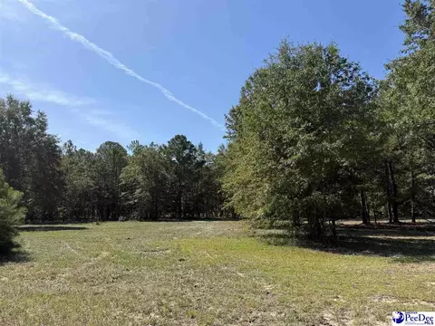 lot4 Isaiah Dr, Dillon, SC 29536 photo 2