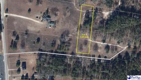 lot5 Isaiah Dr, Dillon, SC 29536 photo 3