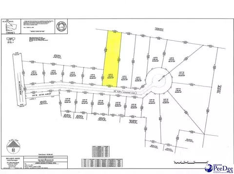 lot5 Isaiah Dr, Dillon, SC 29536 photo 4