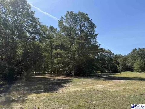 lot5 Isaiah Dr, Dillon, SC 29536 photo 2