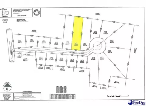 lot6 Isaiah Dr, Dillon, SC 29536 photo 4