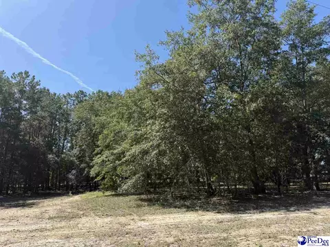 lot6 Isaiah Dr, Dillon, SC 29536 photo 2