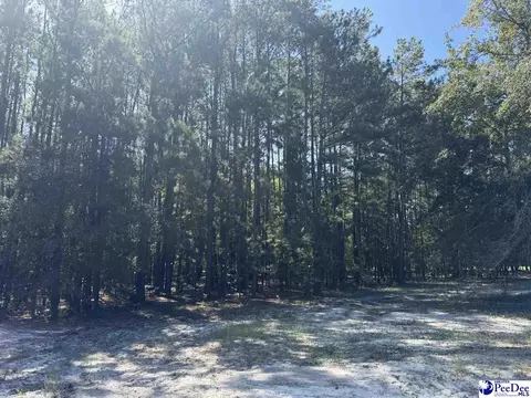 lot7 Isaiah Dr, Dillon, SC 29536 photo 2