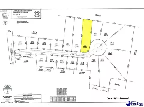 lot7 Isaiah Dr, Dillon, SC 29536 photo 4