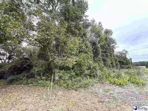 Dennis Rd, Hemingway, SC 29554 photo 5