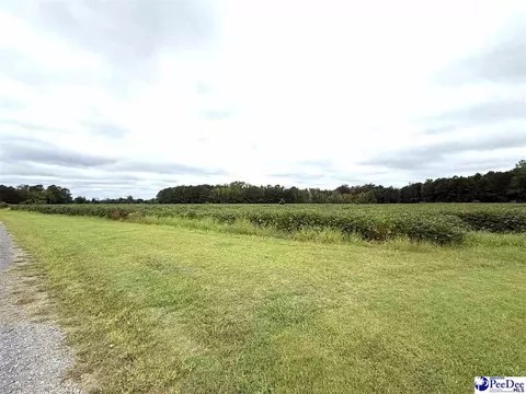 Dennis Rd, Hemingway, SC 29554 photo 7