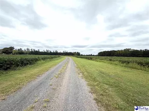 Dennis Rd, Hemingway, SC 29554 photo 11