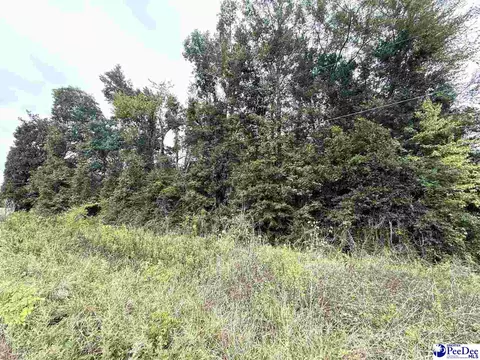 Dennis Rd, Hemingway, SC 29554 photo 6