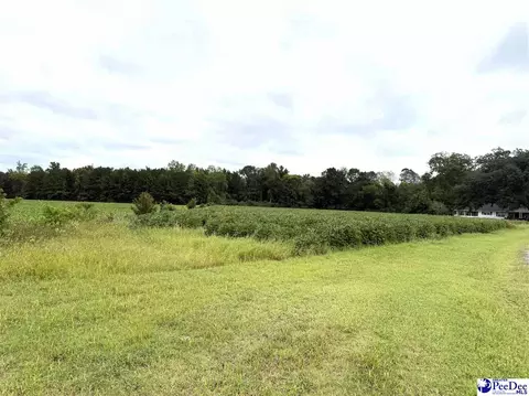 Dennis Rd, Hemingway, SC 29554 photo 9