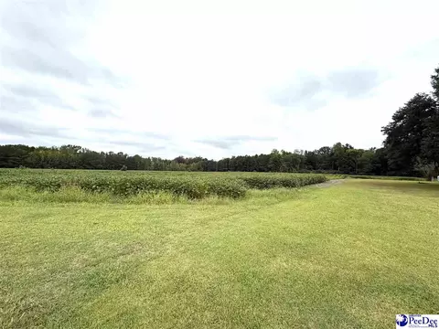Dennis Rd, Hemingway, SC 29554 photo 10