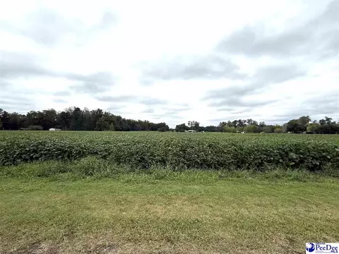 Dennis Rd, Hemingway, SC 29554 photo 3