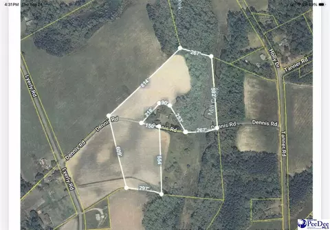 Dennis Rd, Hemingway, SC 29554 photo 2