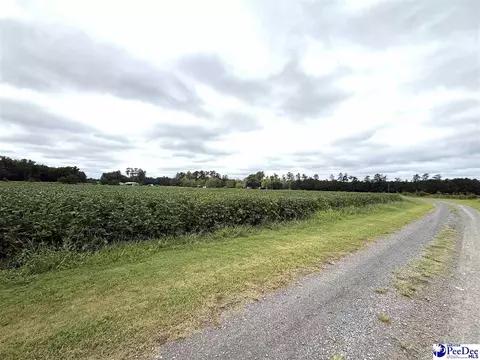 Dennis Rd, Hemingway, SC 29554 photo 8