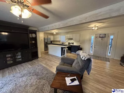 Other - 403 E 5th Ave, Lake View, SC 29563 photo 2 of 6