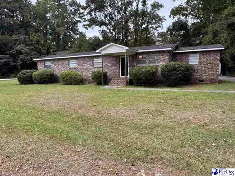 Other - 403 E 5th Ave, Lake View, SC 29563 photo 6 of 6