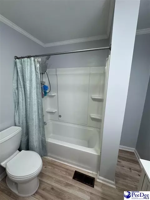 Bath - 403 E 5th Ave, Lake View, SC 29563 photo 5 of 5