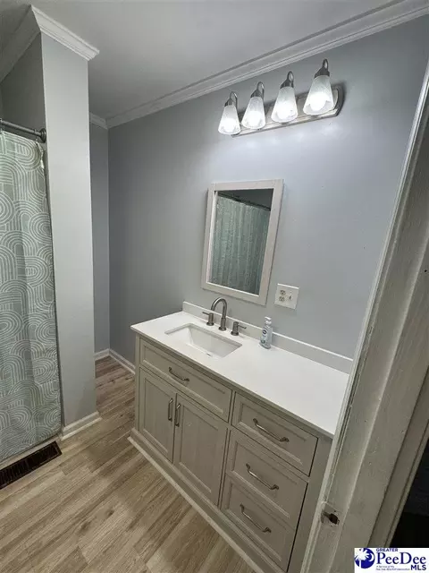 Bath - 403 E 5th Ave, Lake View, SC 29563 photo 4 of 5