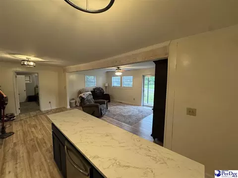 Other - 403 E 5th Ave, Lake View, SC 29563 photo 4 of 6