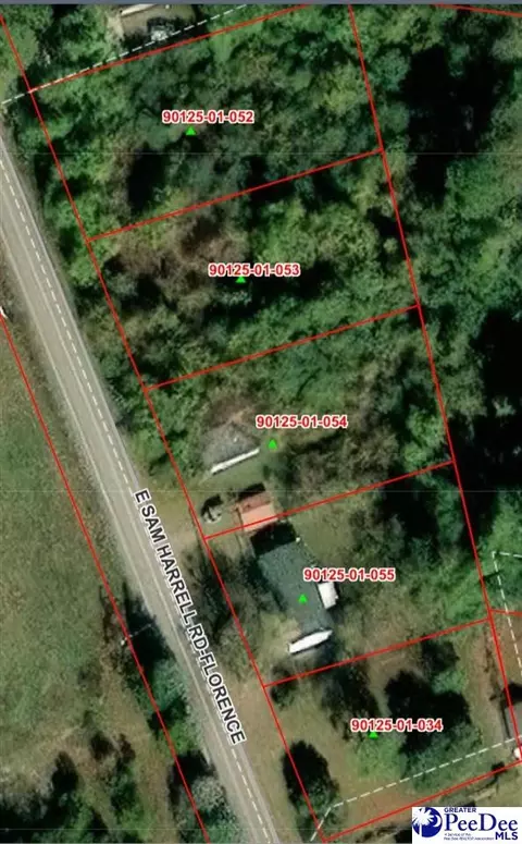 603 E Sam Harrell Rd, Florence, SC 29506 photo 3