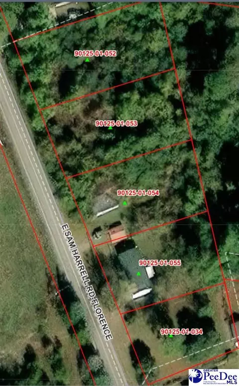 605 E Sam Harrell Rd, Florence, SC 29506 photo 3