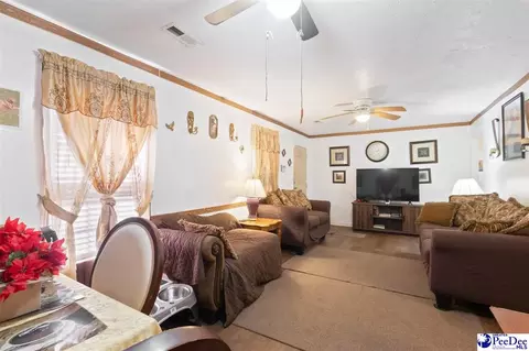 Other - 6116 Old Mullins Hwy, Mullins, SC 29574 photo 6 of 18
