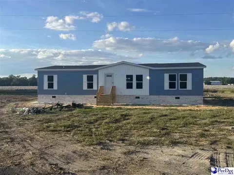 118 Norman Dr, Darlington, SC 29540