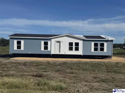 118 Norman Dr, Darlington, SC 29540