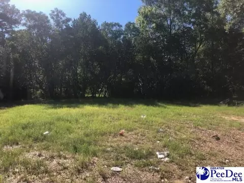 317 Brewer Ave, Hartsville, SC 29550
