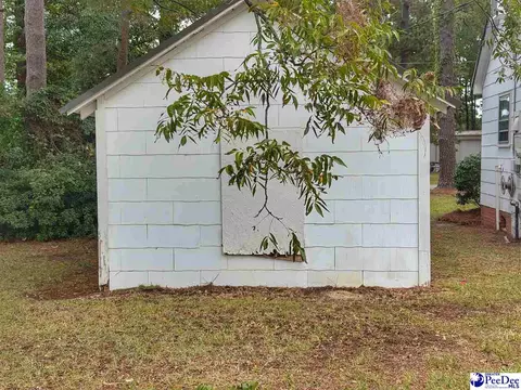 Other - 202 E 3rd Ave, Lake View, SC 29563 photo 7 of 8