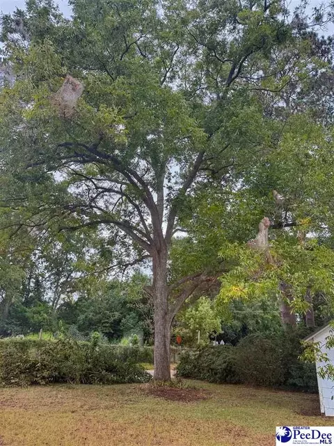 Other - 202 E 3rd Ave, Lake View, SC 29563 photo 8 of 8