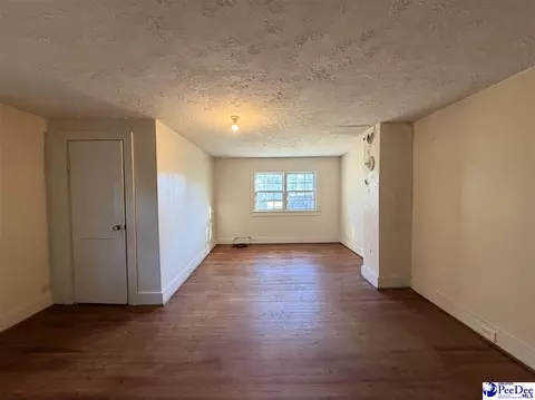 Other - 202 E 3rd Ave, Lake View, SC 29563 photo 4 of 8