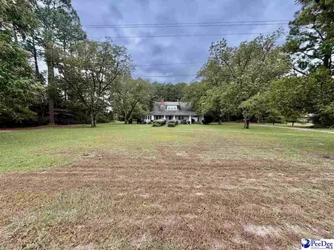 4177 Old State Hwy 38, Blenhiem, SC 29516