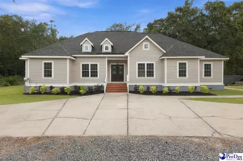 8667 Parkers Ferry Rd, Adams Run, SC 29426