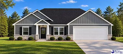 299 Pocosin Rd, Latta, SC 29565