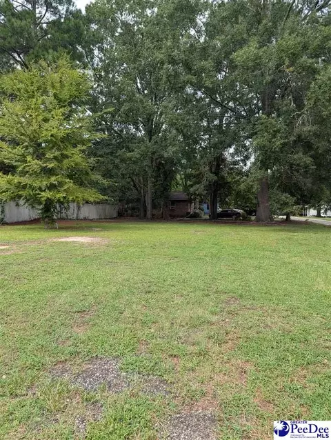 310 Lot 23 King St, Bennettsville, SC 29512