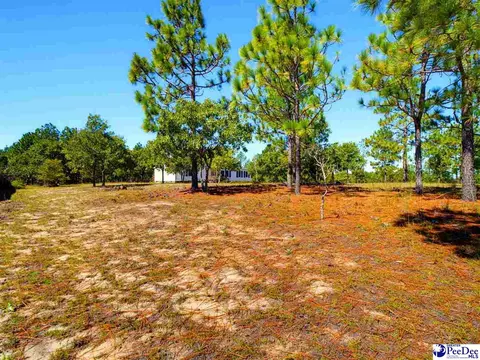 139 Hillcrest Ln, Mcbee, SC 29101 photo 35