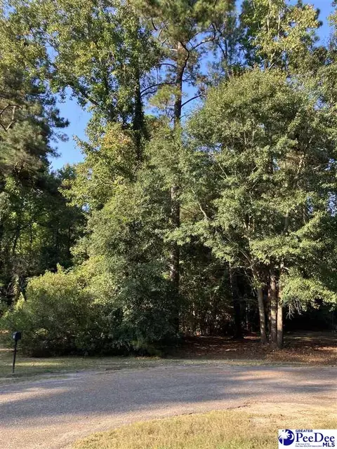 tbd Lot 14 Lincoln Pl, Mullins, SC 29574