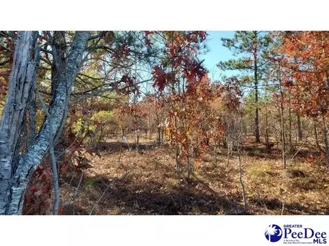 tbd Ousleydale Rd, Hartsville, SC 29550