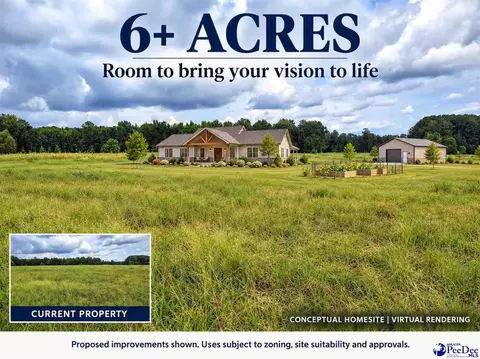 tbd N Old Georgetown Road 622 Acres, Lake City, SC 29560