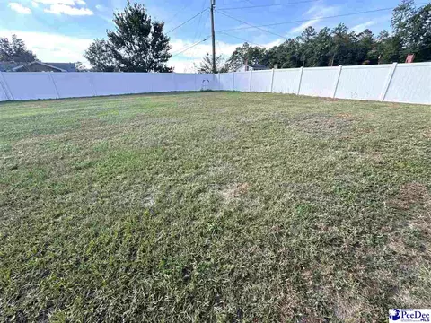 Exterior - 1319 Richard St, Dillon, SC 29536 photo 12 of 14