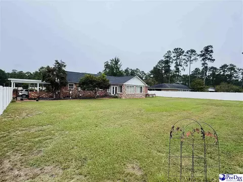 Exterior - 1319 Richard St, Dillon, SC 29536 photo 13 of 14