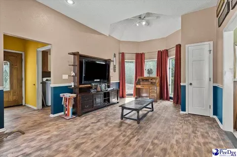 Living - 467 Cane Mill Crossing Rd, Patrick, SC 29584 photo 4 of 4