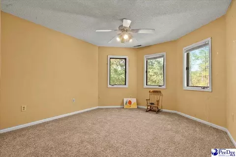 Bedroom - 467 Cane Mill Crossing Rd, Patrick, SC 29584 photo 7 of 8