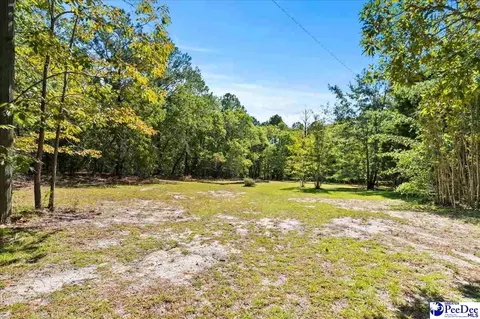 Exterior - 467 Cane Mill Crossing Rd, Patrick, SC 29584 photo 9 of 12